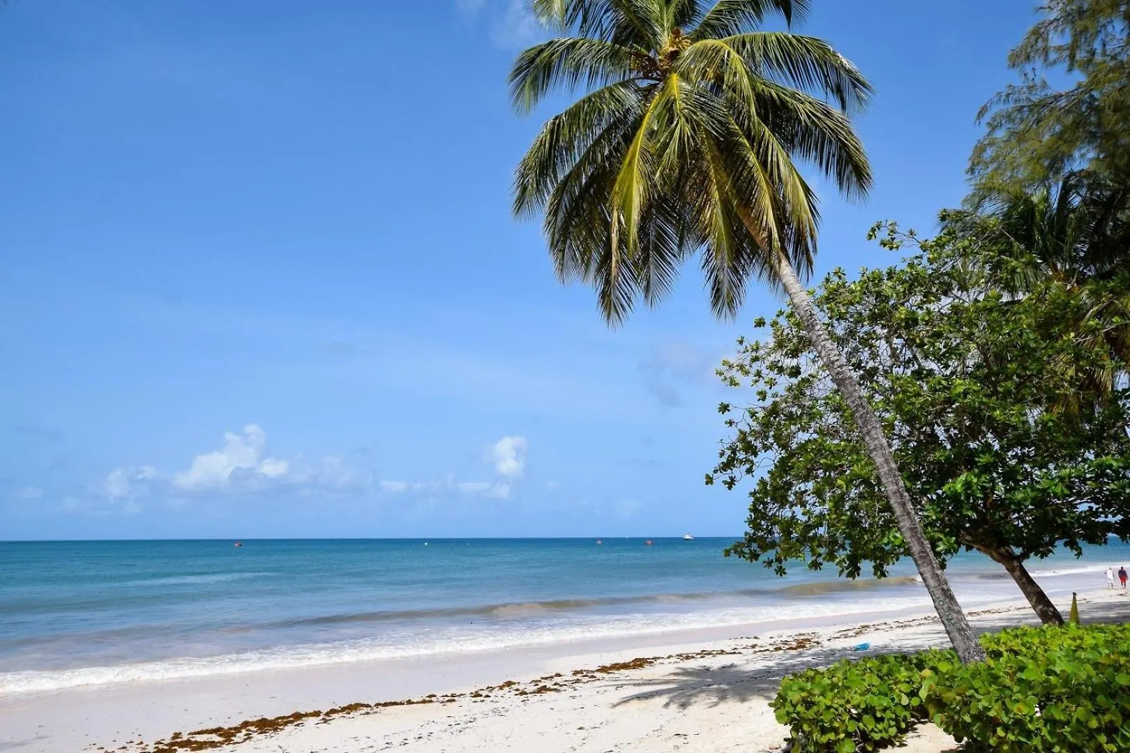 Inch By Inch Home Christ Church Barbados